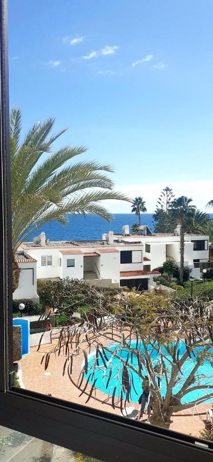 Nueva Europa Studio Ocean View Lägenhet Playa Del Aguila  Exteriör bild
